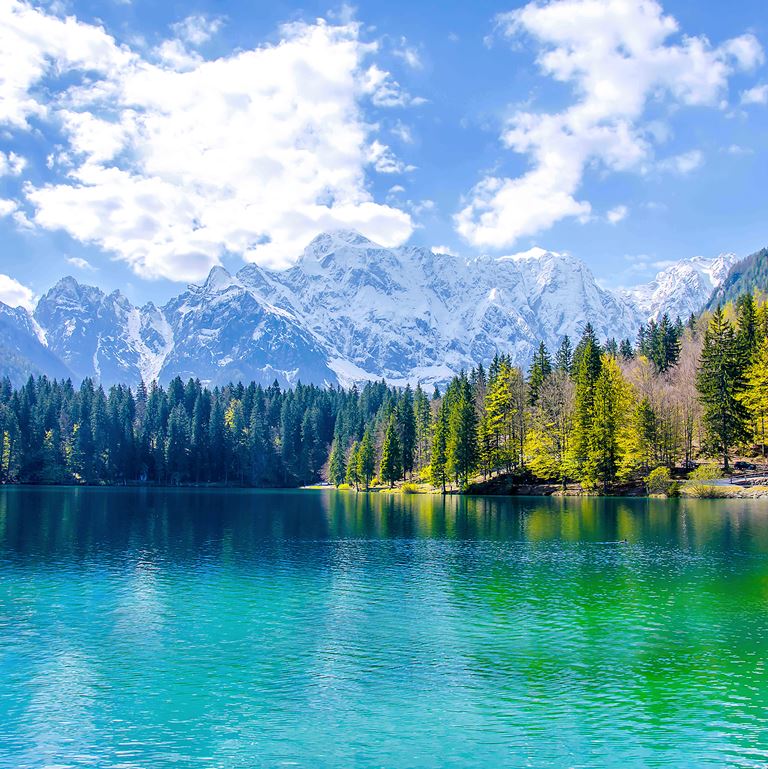 Alpine Serenity ( NAT 109 )
