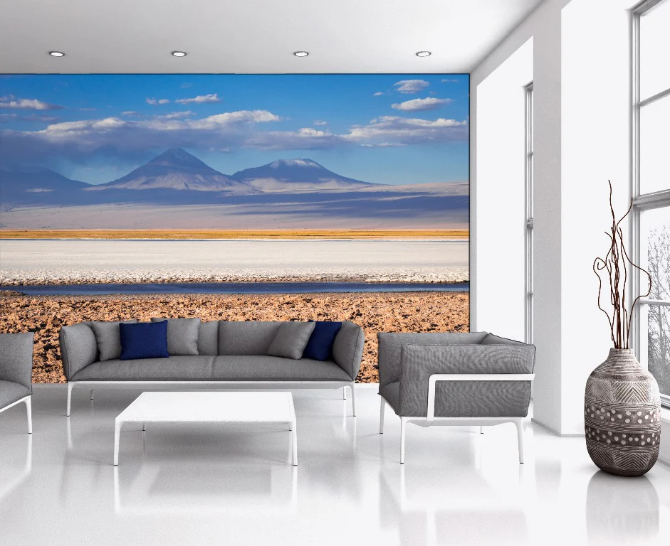 Andean Salt Flats ( NAT 106 ) - Image 2