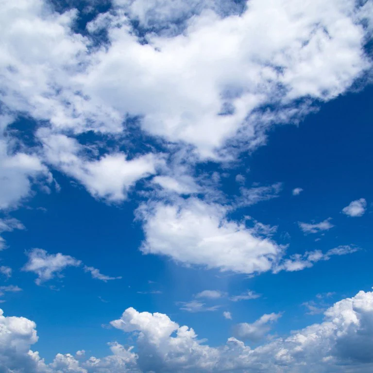 Blue Sky Wallcovering (ART 145)
