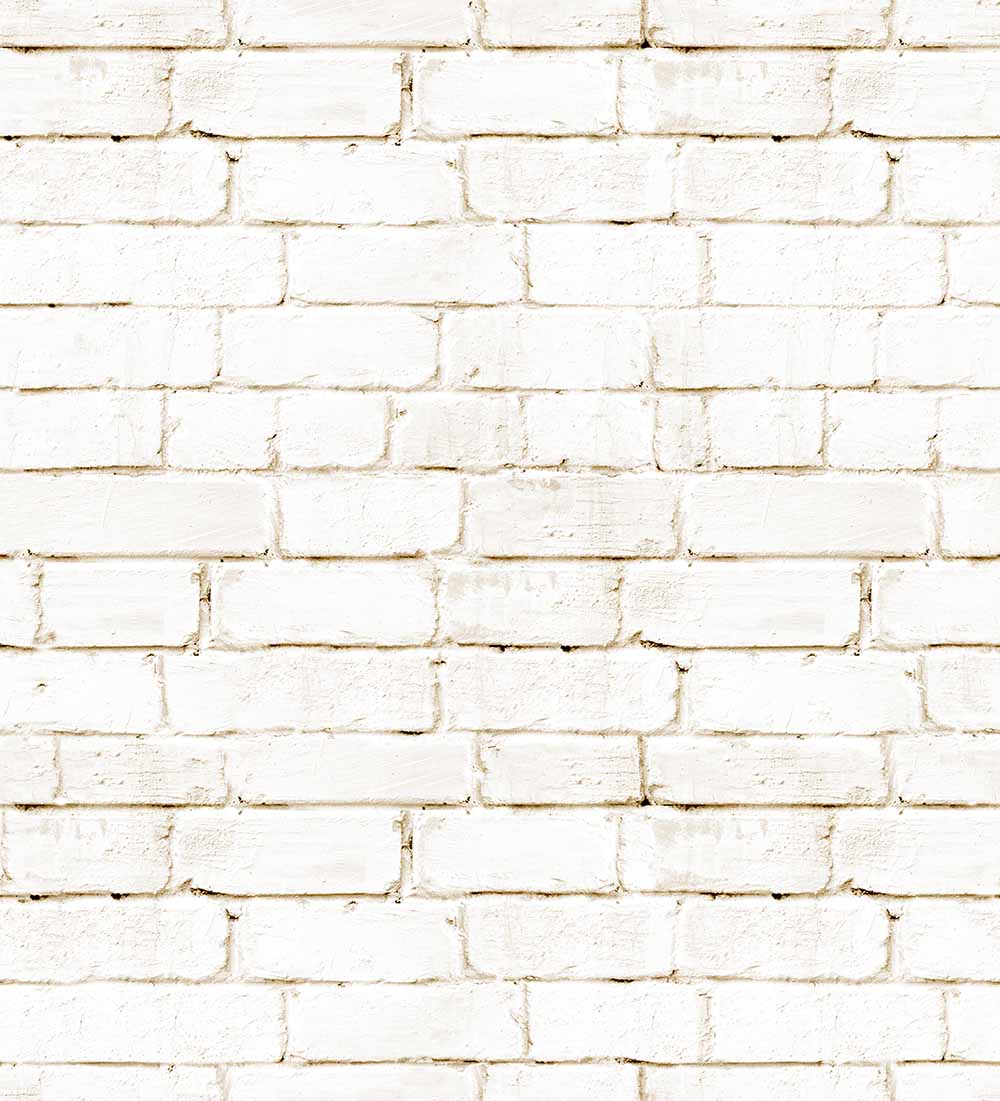 Brick Wall (FUN 222)