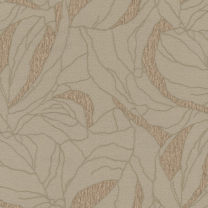 Brown Veins (DB 73775)