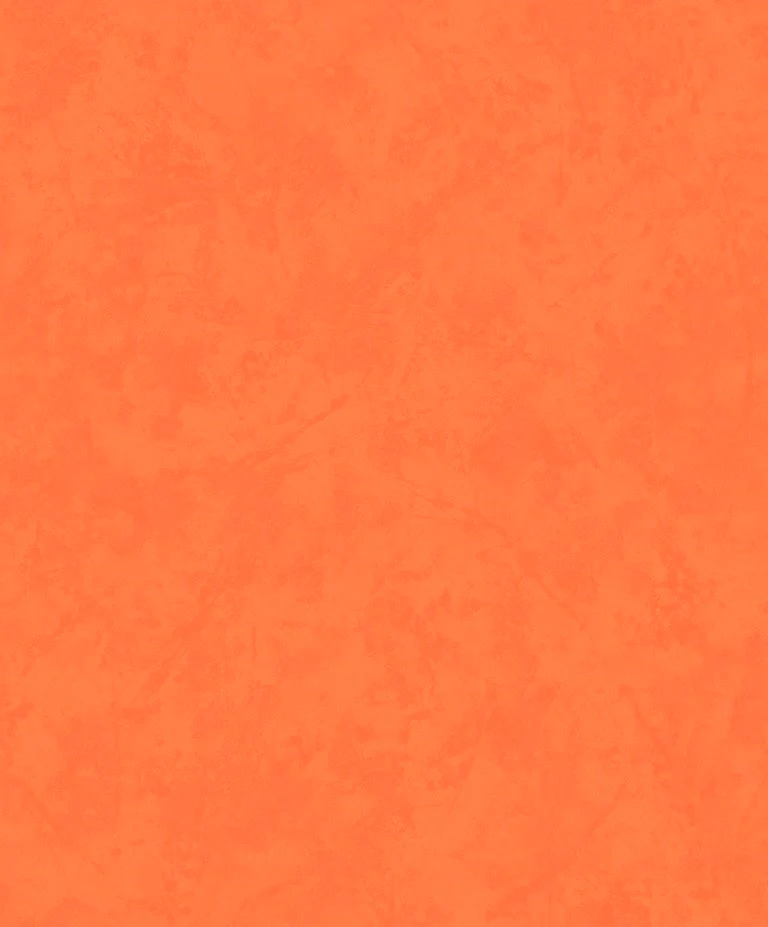 Discount Sale(A 20813)