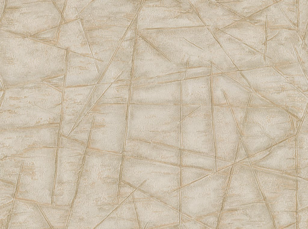 Discount Sale(C88432)