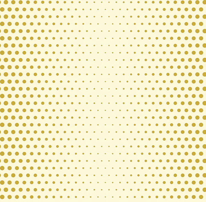 Dotty Fun (FUN 161)