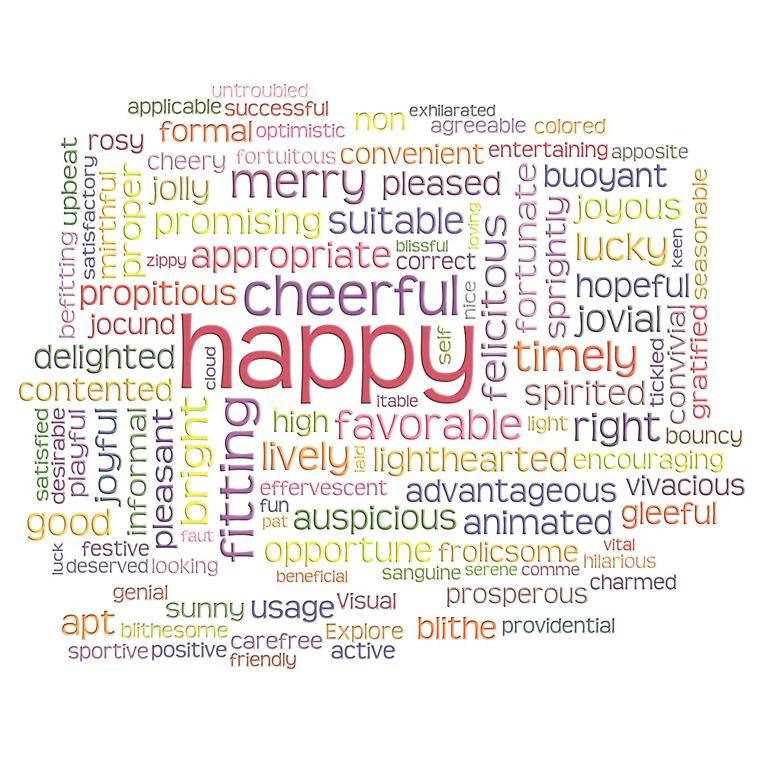 Happiness Word Cloud ( COR 101 )