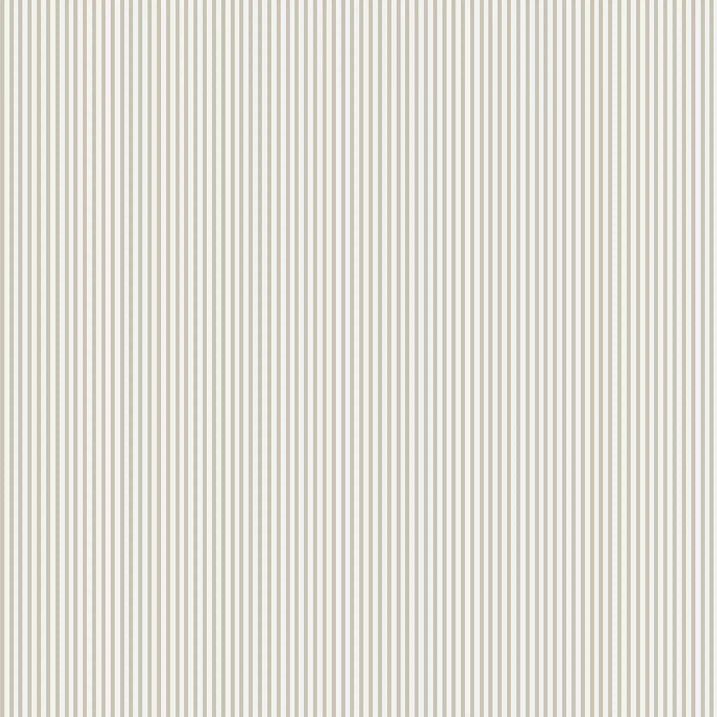 Linear stripes (POL 150)