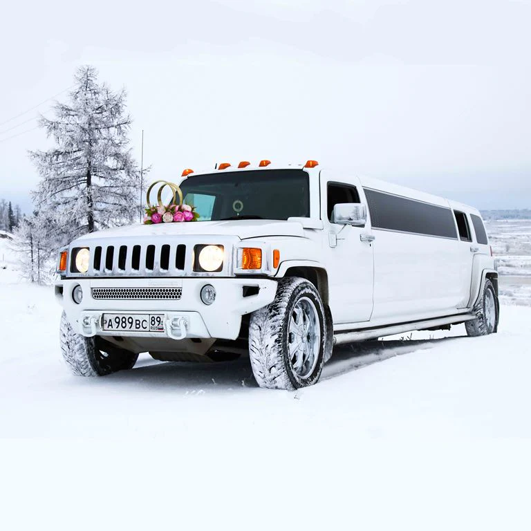 Luxury Winter Limo ( KID 123 )