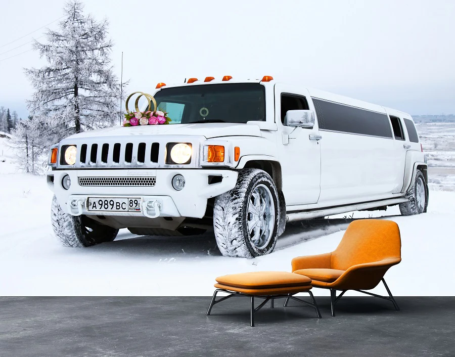 Luxury Winter Limo ( KID 123 ) - Image 2